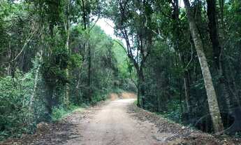 Imagem 3: Seu lote de 1000 m² com pequenas parcelas de R$677,67