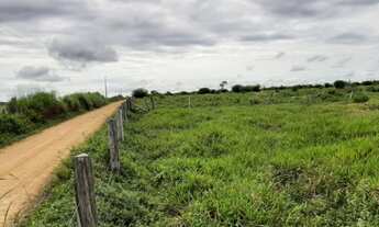 Imagem 5: 107 alqueires Guarantã do Norte- Mt