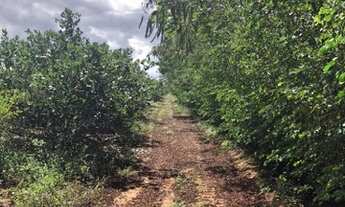 Imagem 6: TERRENO 26 ha PARA VENDA EM NOVA SOURE - BAHIA R$ 3.150.000,00