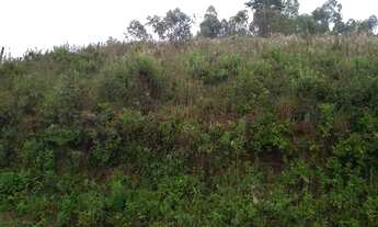 Imagem 3: Terreno p/ Granja Ewbank da Câmara