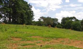 Imagem 4: Já pensou em morar em Área verde Fechado sem taxas