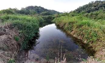 Imagem 5: Sítio 3,5 alqueires Plano ( Willian Ricardo