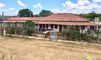 Imagem 6: Fazenda à Venda na Bahia Fazenda em Nova Itarana - BA