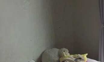 Imagem 2: Casa para venda tem 300 metros quadrados com 3 quartos em Jardim Independência - Taubaté