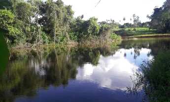 Imagem 3: Chácara em Senador Canedo- Go