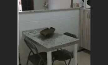 Imagem 3: Casa para Venda em Ubatuba, Sertão do Meio, 2 dormitórios, 2 banheiros, 2 vagas