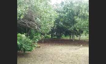 Imagem 4: Vende-se ou troco por casa carro caminhao