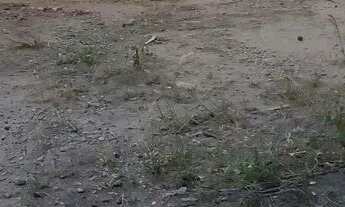 Imagem 4: Casa com terreno 15x40 na Gaúcha do Norte - MT