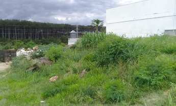 Imagem 6: Lote/Terreno para aluguel e venda com 4546 metros quadrados