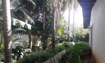 Imagem 3: São Paulo - Casa Padrão - Alto de Pinheiros