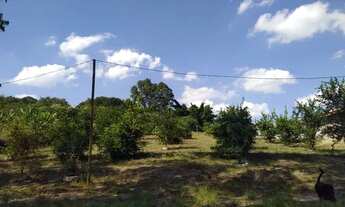 Imagem 2: Sítio abaixo valor excelente oportunidade