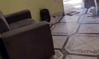 Imagem 7: LEIA TODO ANÚNCIO COM ATENÇÃO