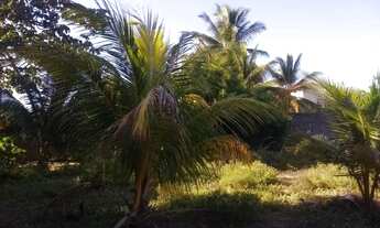 Imagem 7: Terrenos de 300m2