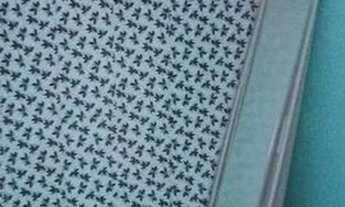 Imagem 5: Casa grande para alugar