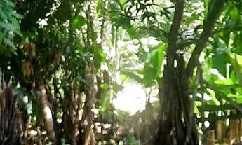 Imagem 4: Casa no Conde-ba