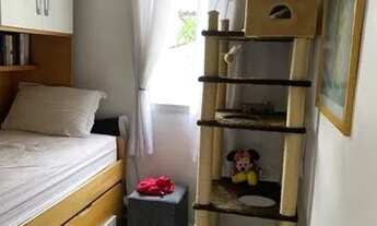 Imagem 3: APARTAMENTO - NOVA PETRÓPOLIS - SP