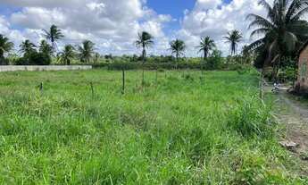 Imagem 2: Terreno no Sapé, Itaporanga d?Ajuda