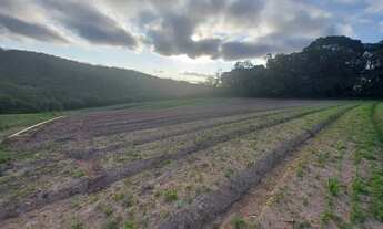Imagem 3: Eu tenho o terreno certo para você que procura algo rural e bem localizado!!