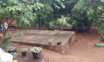 Imagem 5: Chacara em caldazinha com casa de 3/4 pomar riacho no fundo