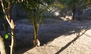 Imagem 2: Casa na Belíssima Praia de Enseada dos Corais