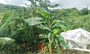 Imagem 3: Crato Casa com 2 dormitórios