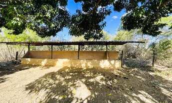 Imagem 6: Fazenda 227ha em Claro dos Poções