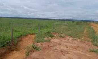 Imagem: Fazenda para Venda em Paranatinga, 000