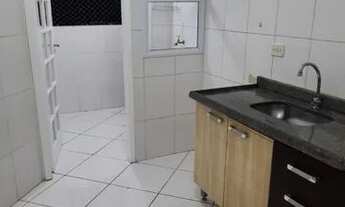 Imagem 7: BARUERI - Padrão - Vila São Luiz