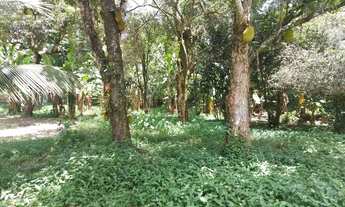 Imagem 4: Magnifico sítio medindo 14.000 m² localizado no paraíso ecológico de Cachoeiras de Macacu