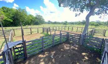 Imagem: Fazenda 420 Alqueires ou 2.032,80 hectares