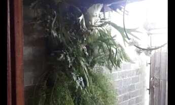 Imagem 5: 2 Casas+Kitnets Região Barreiro - 390mts