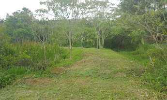 Imagem 2: Terreno 1000metros 75mil