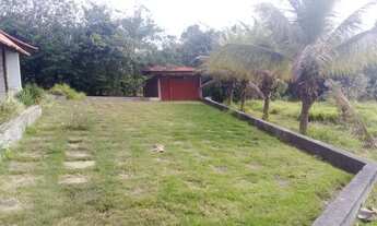 Imagem 5: Chácara 10000mts