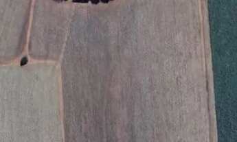 Imagem: Moleza Nova Europa.Sitio 13.3ha Prox Araraquara