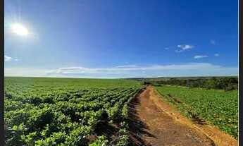 Imagem 2: Fazenda próximo Coromande