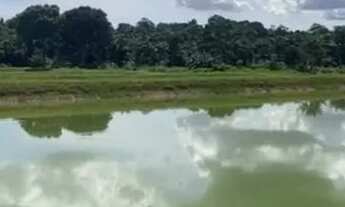 Imagem 3: Sítio 200 x 1.000 com 12 viveiro peixe Manuel Urbano 1.600.000