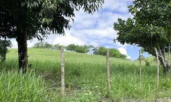 Imagem 2: Sítio para Venda em Flexeiras, Centro, 3 dormitórios, 1 banheiro