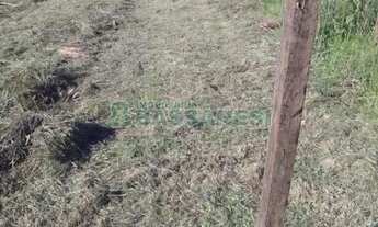 Imagem 6: Terreno Centro Garibaldi