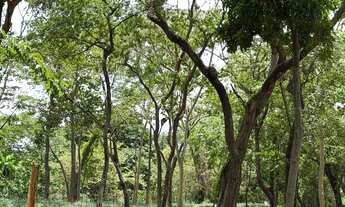 Imagem 3: Chacara às margens do rio Cuiabá dentro da cidade!