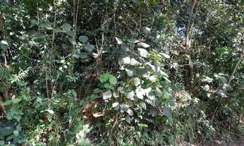 Imagem 3: LINDO TERRENO FRENTE PARA O LAGO