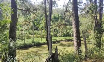 Imagem 5: 4 hectares lagoa casarão 3 km do centro