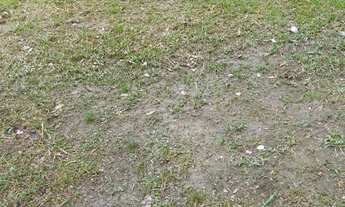 Imagem 3: Casa nova 1 km do asfalto lago proprio 220 mil