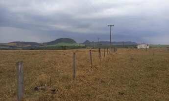 Imagem: Sítio bom para café, abacate, grãos