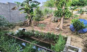 Imagem 2: Vendo otimo terreno com uma otima estrutura