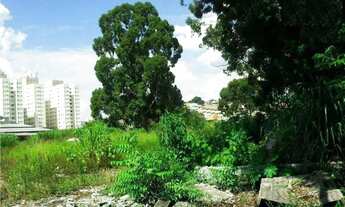 Imagem 6: Terreno, 7700 m² - venda por R$ 19.250.000,00 ou aluguel por R$ 76.000,00/mês - Vila Jarag