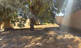 Imagem: Lote 26 de Setembro