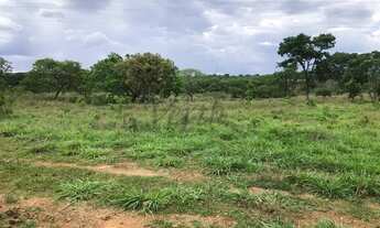 Imagem 2: Fazenda à venda com 422ha - Dupla aptidão em Unai - MG
