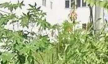 Imagem 2: Oportunidade Única no Recreio: Lote Multifamiliar