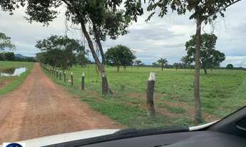 Imagem 4: Fazenda à Venda em Piranhas (GO) 79 Alqueires