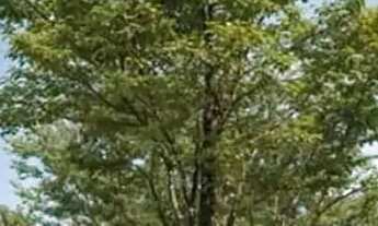 Imagem 5: Tamana Breeze Beach Studios: O seu paraíso em Tamandaré!